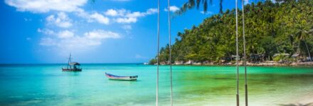 Swing hang from coconut tree over beach, Phangan island